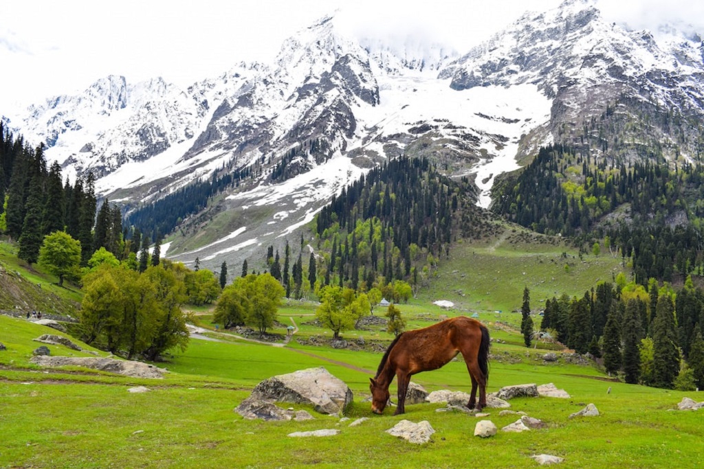 Golden Triangle with Kashmir Tour