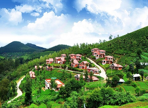 South India Hill Station Tour