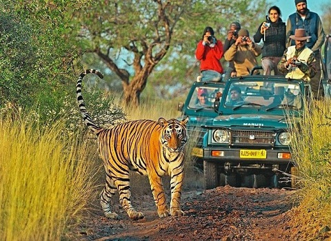Agra Local City Tour With Taj Mahal & Agra Fort